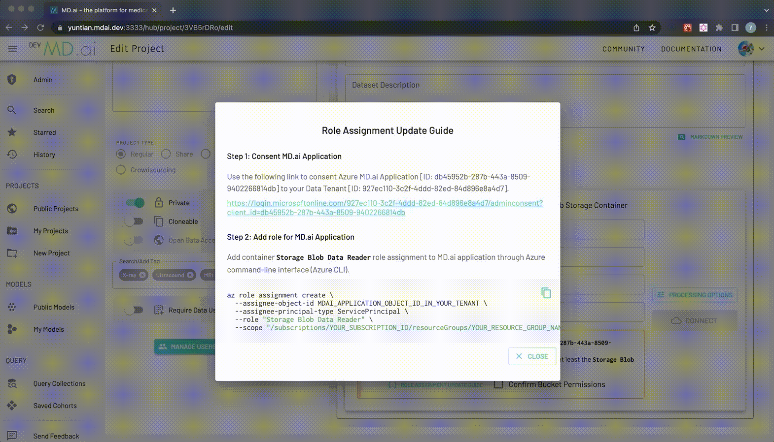 dataset-azure-consent-application.gif