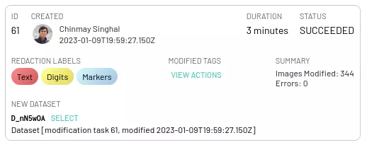 DEID task details